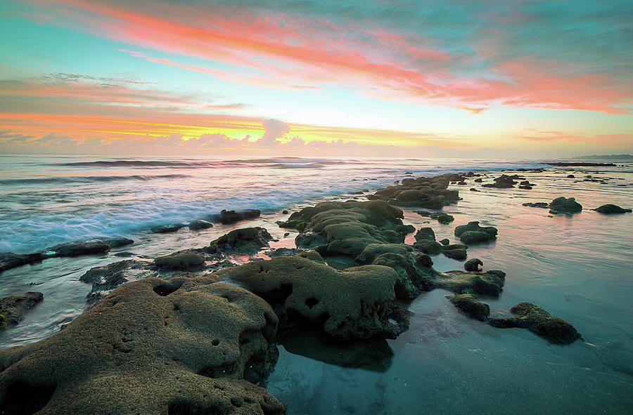 Florida Reef Sunrise Photograph by R Scott Duncan