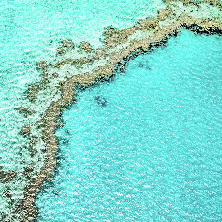 Beach Photograph - Reef Textures by Az Jackson