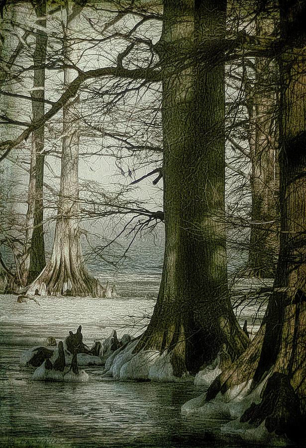 Reelfoot Lake Winter Digital Art by Bonnie Willis