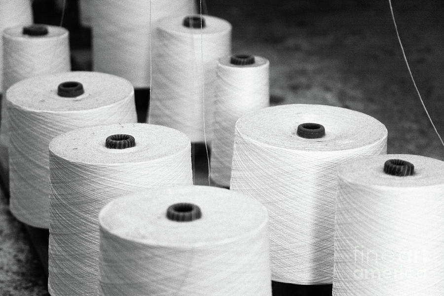 Reels of thread Photograph by Gaspar Avila