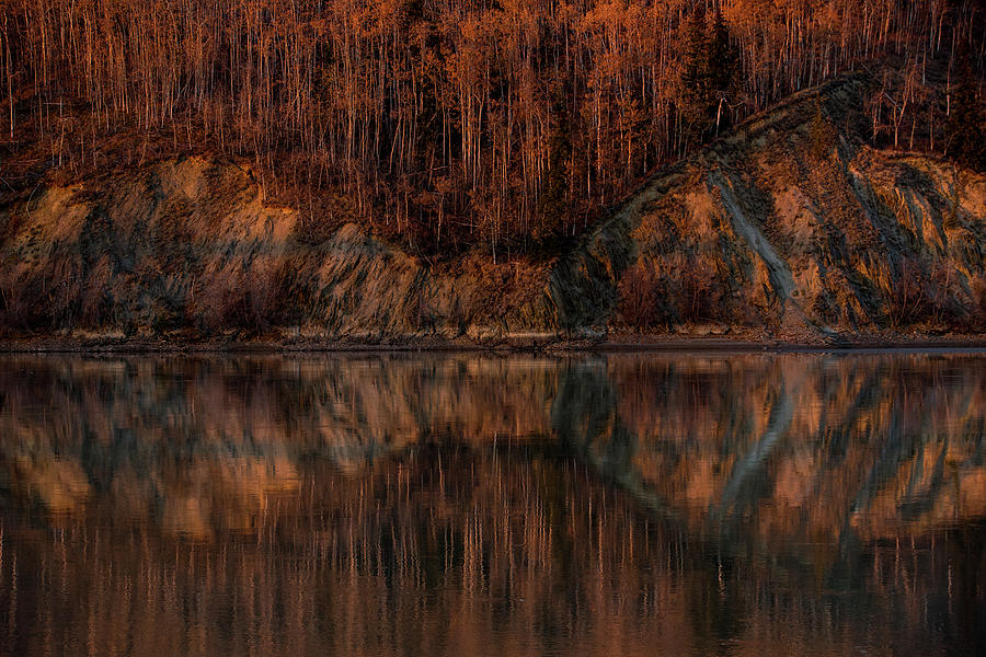 Reflect Photograph by Chris Multop