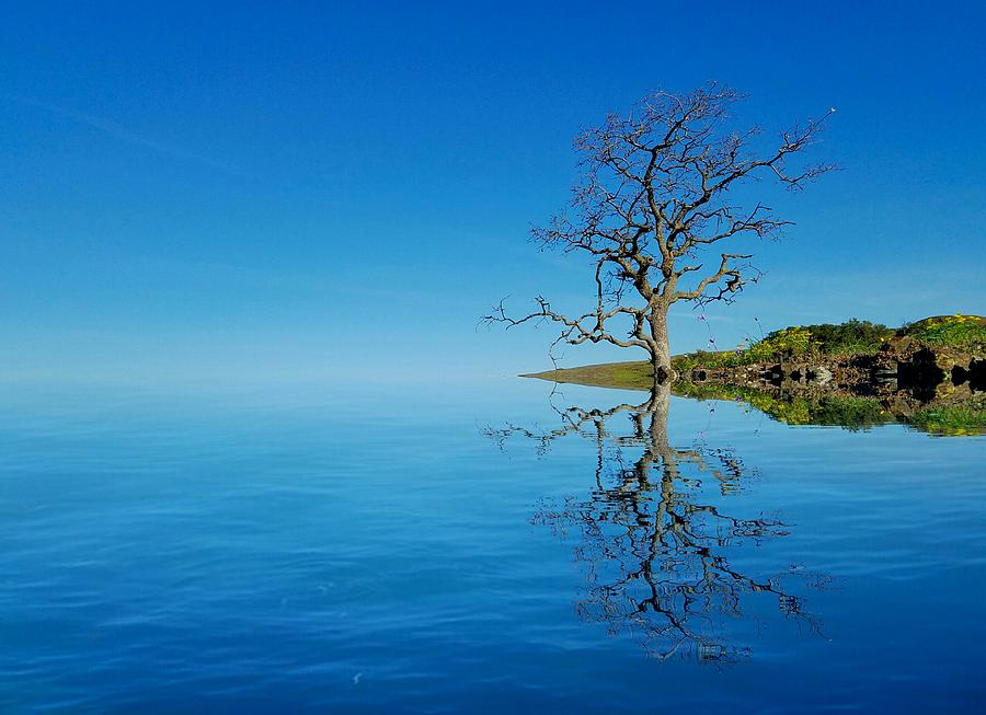 Reflect by Nick Knezic Reflect by Nick Knezic
