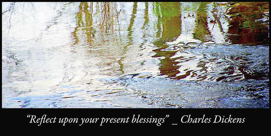 Reflect Upon Your Blessings Photograph by A Macarthur Gurmankin