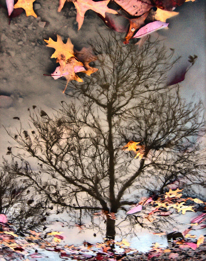 Reflected Fall Photograph by Russell Styles