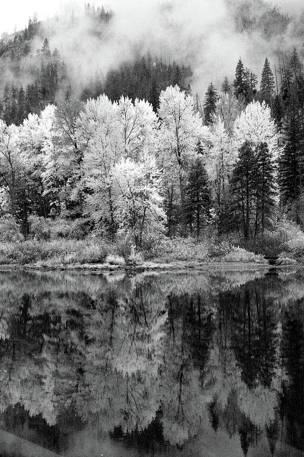 Reflected Glories by Jenny Mead Reflected Glories by Jenny Mead