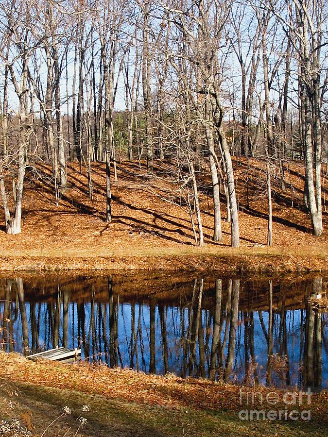 Landscape Reflections #1 Photograph by Carol F Austin