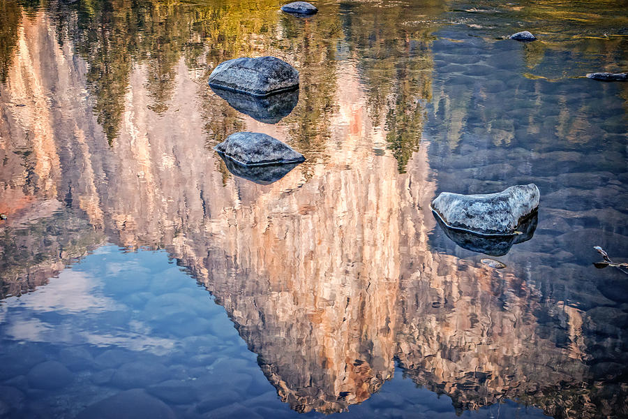 Reflected Majesty Photograph by James Capo