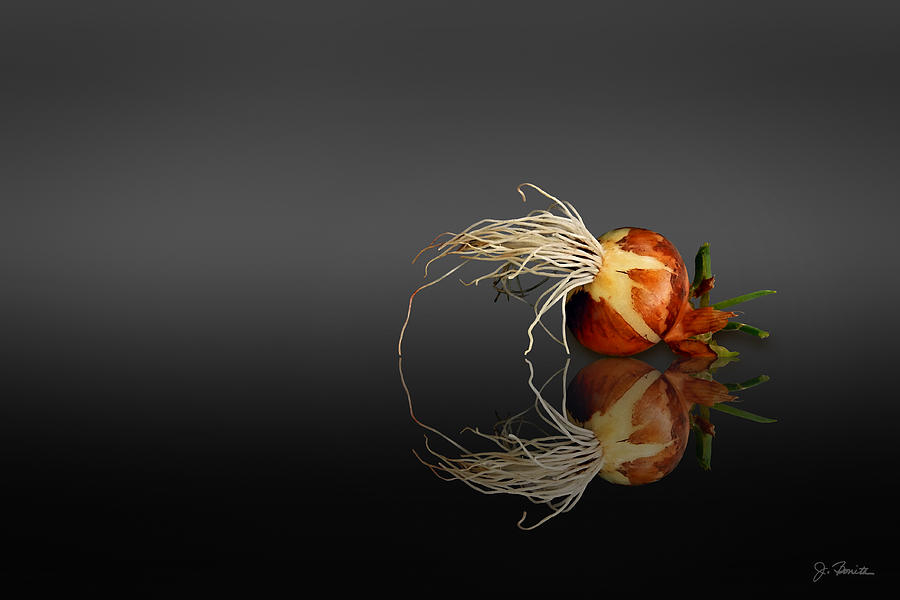 Reflected Onion No. 3 Photograph by Joe Bonita