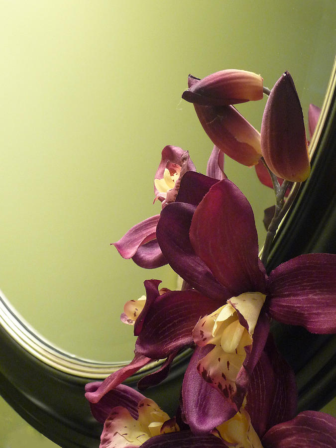 Reflected Orchids Photograph by Margie Avellino