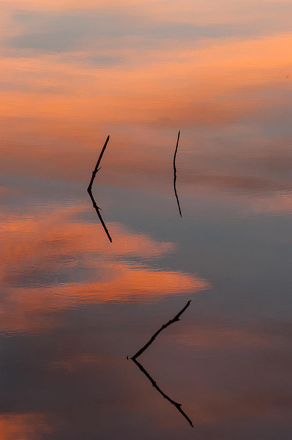 Reflected Sunrise Photograph by Monte Stevens