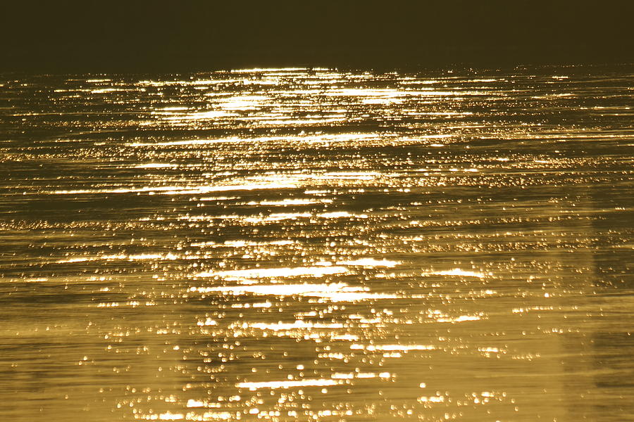 Reflected Sunshine 3 Photograph