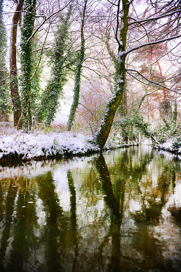 Reflected winter Photograph by Gouzel -