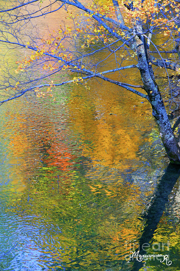Reflecting Autumn Photograph by Mariarosa Rockefeller