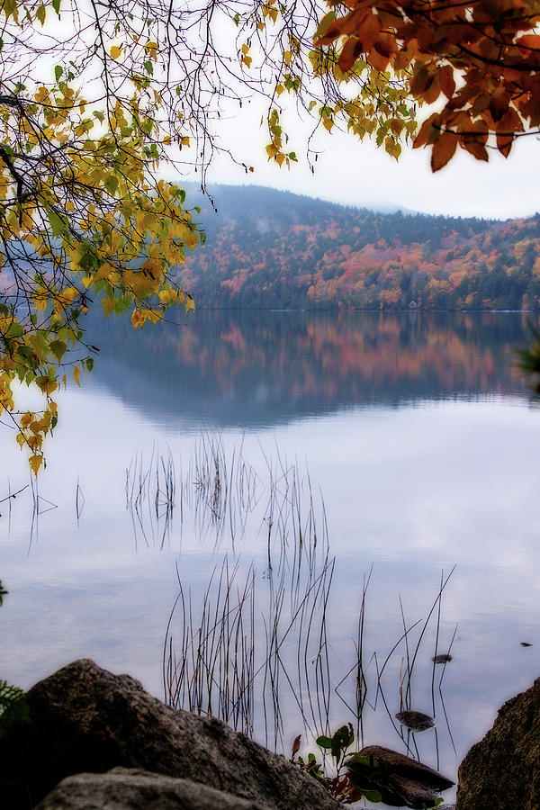 Reflecting Autumn Digital Art by Terry Davis