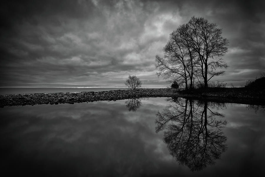 Reflecting by Edward Deiro Reflecting by Edward Deiro
