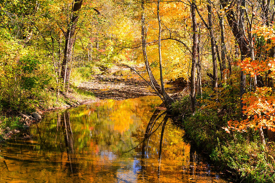 Reflecting Fall Photograph by Mary Timman