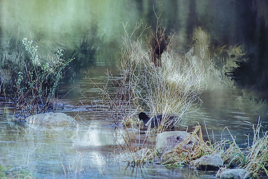 Reflecting On A Misty Morning Photograph by Theresa Campbell