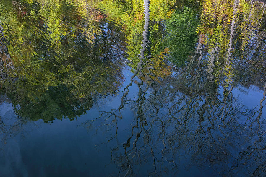 Reflecting on Autumn  Photograph by John McGraw