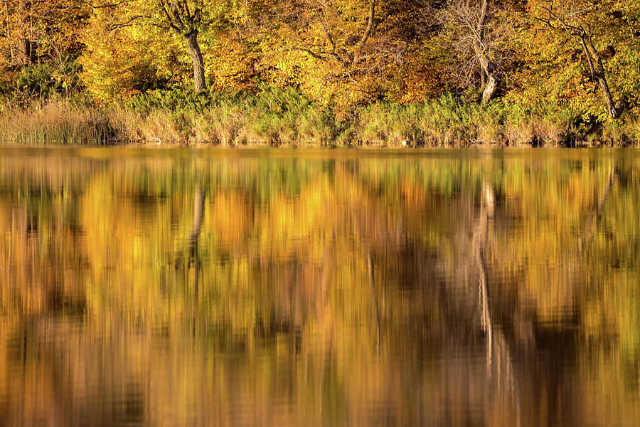 Reflecting on Autumn Photograph by Penny Meyers