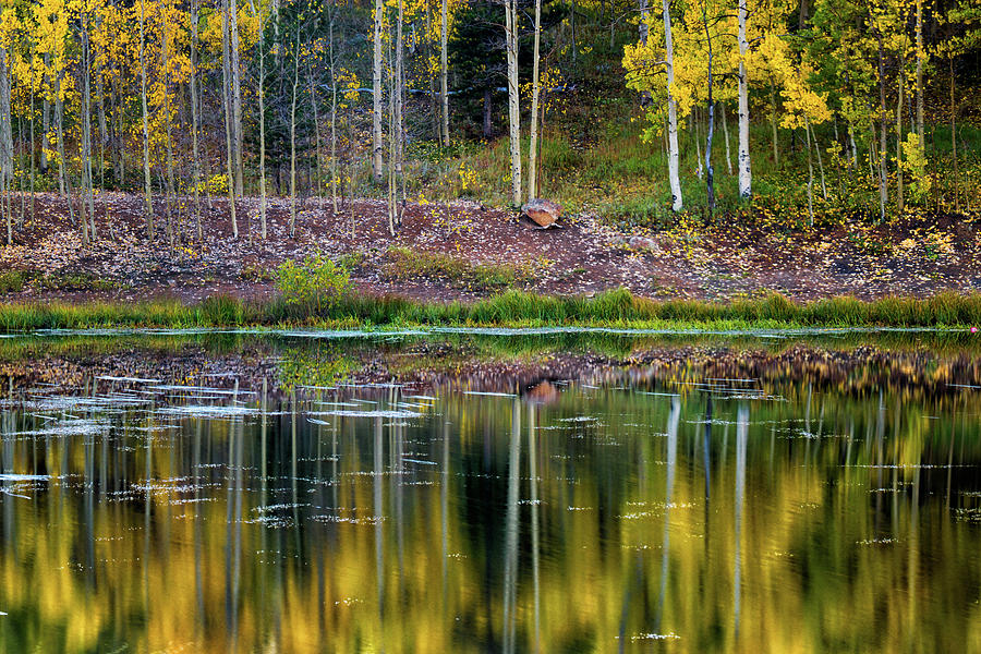 Reflecting On Fall Photograph by John De Bord