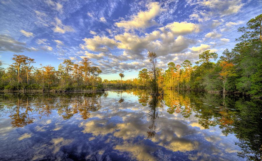 Natural Florida Photograph - Reflecting on Florida Wetlands by JC Findley