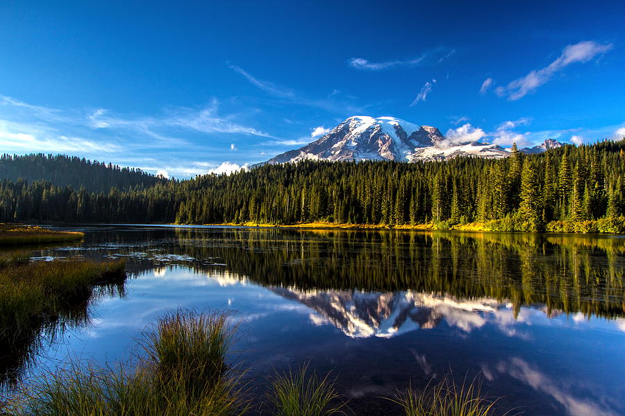 Reflecting on Mt. Rainier Photograph by Larry Waldon