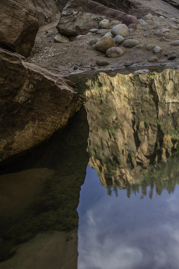Reflecting on Zion  Photograph by John McGraw
