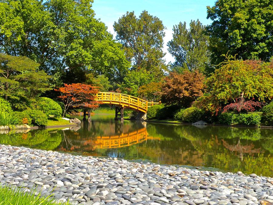 Reflecting Over The Stones At The Japenese Garden Photograph by Debbie Fenelon