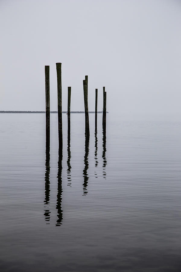 Reflecting Poles Photograph by Karol Livote