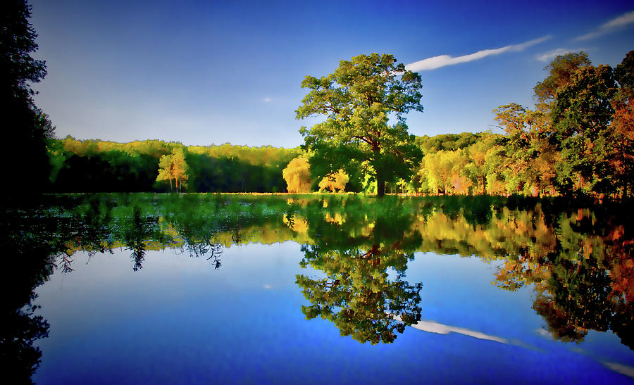 Reflecting Pond Photograph by David Henningsen
