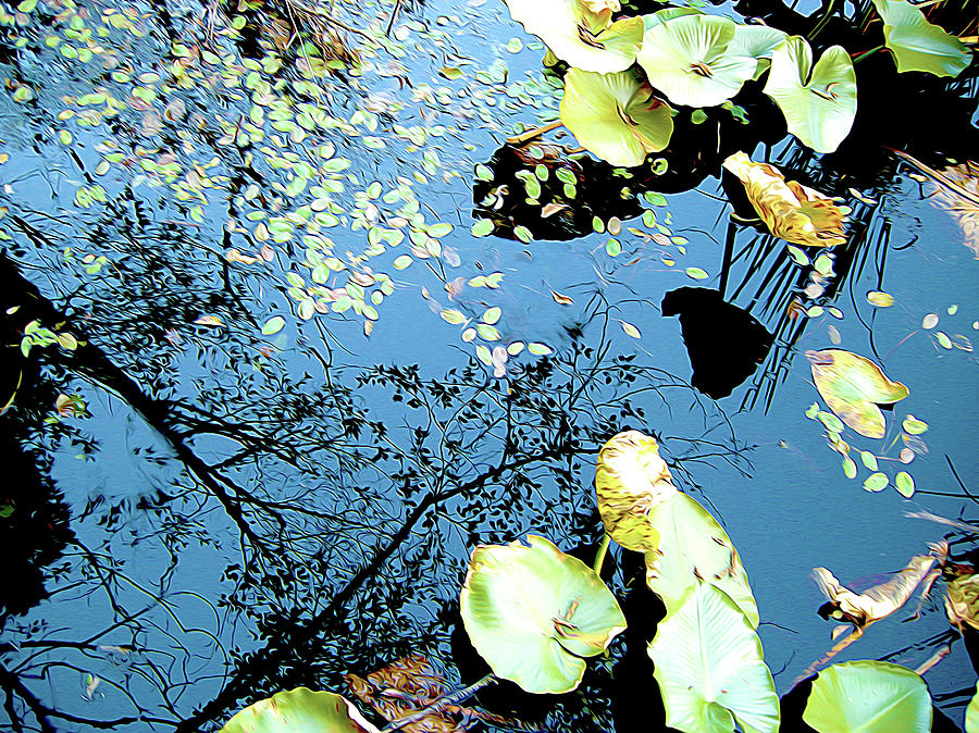 Reflecting Pond Photograph by Linda Carruth
