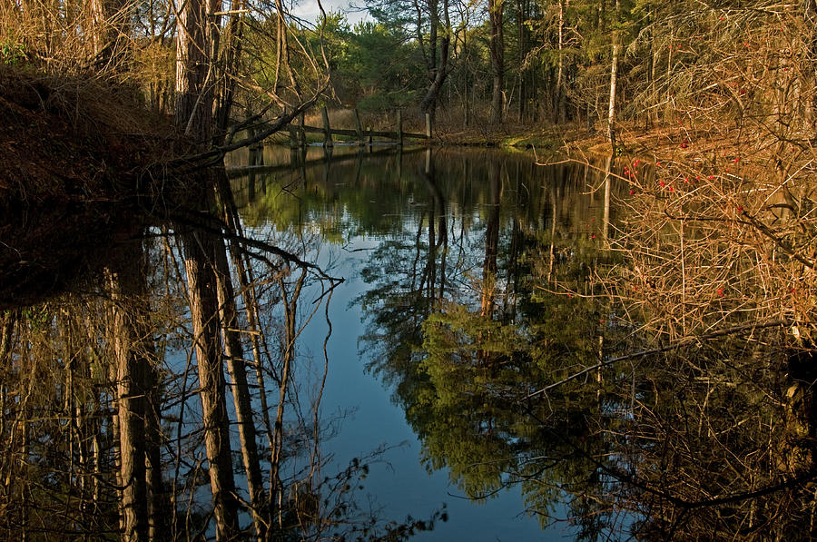 Reflecting Pond Photograph by Paul Mangold
