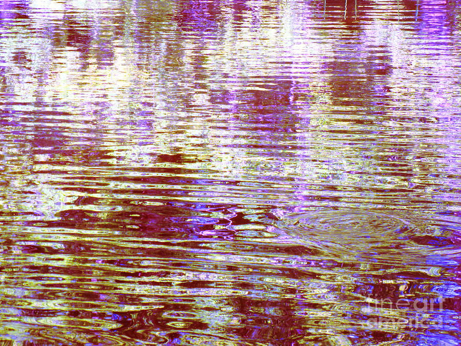 Reflecting Purple Water Photograph by Sybil Staples