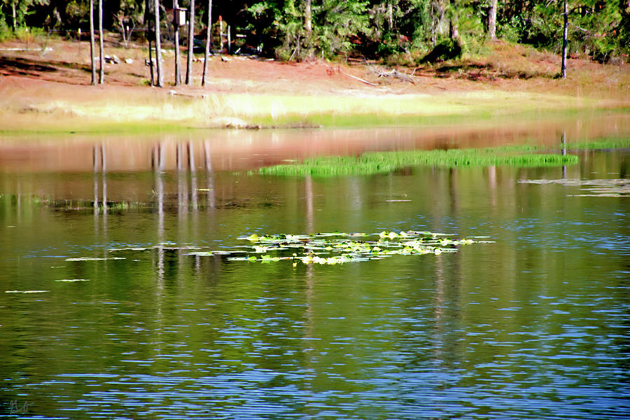 Reflecting Spring Lake Photograph