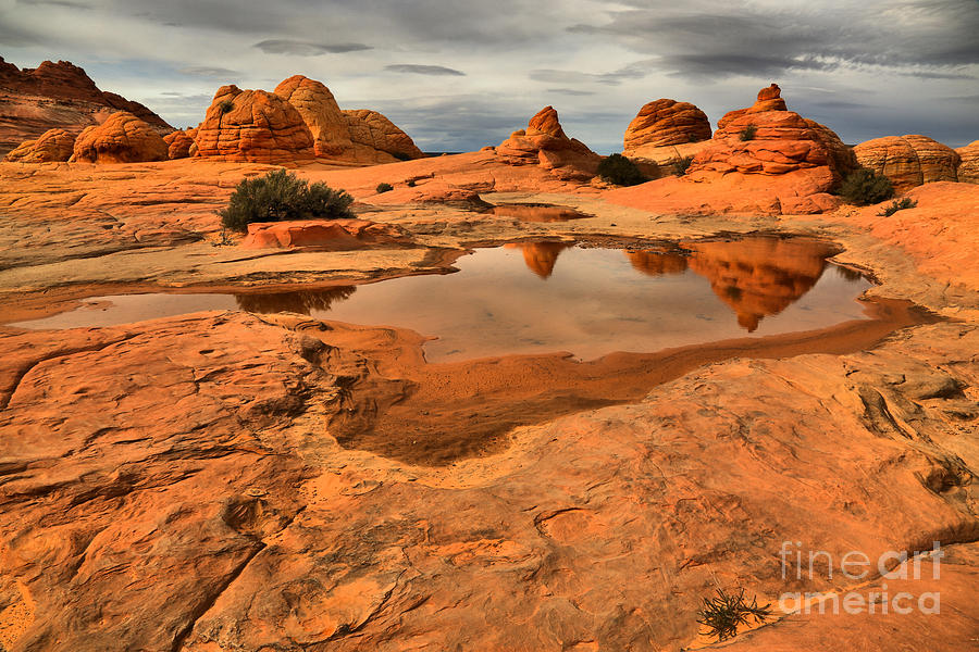 Reflecting The Buttes Photograph by Adam Jewell