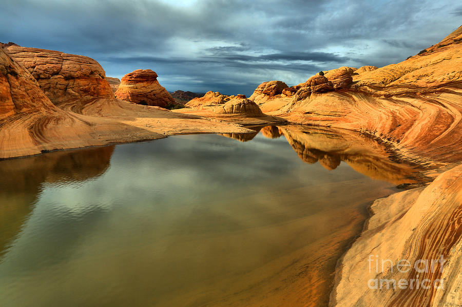 Reflecting The Desert Skies Photograph by Adam Jewell