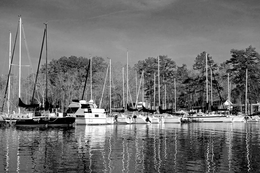 Black And White Photograph - Reflecting the Masts in Black and White by Norma Brock