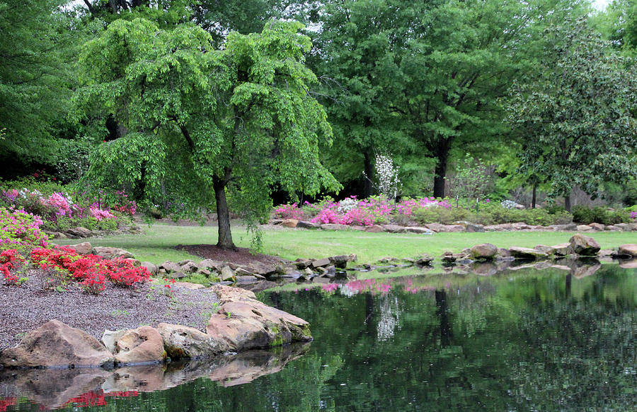 Reflecting The Pretty Park Photograph by Carolyn Fletcher | Fine Art ...