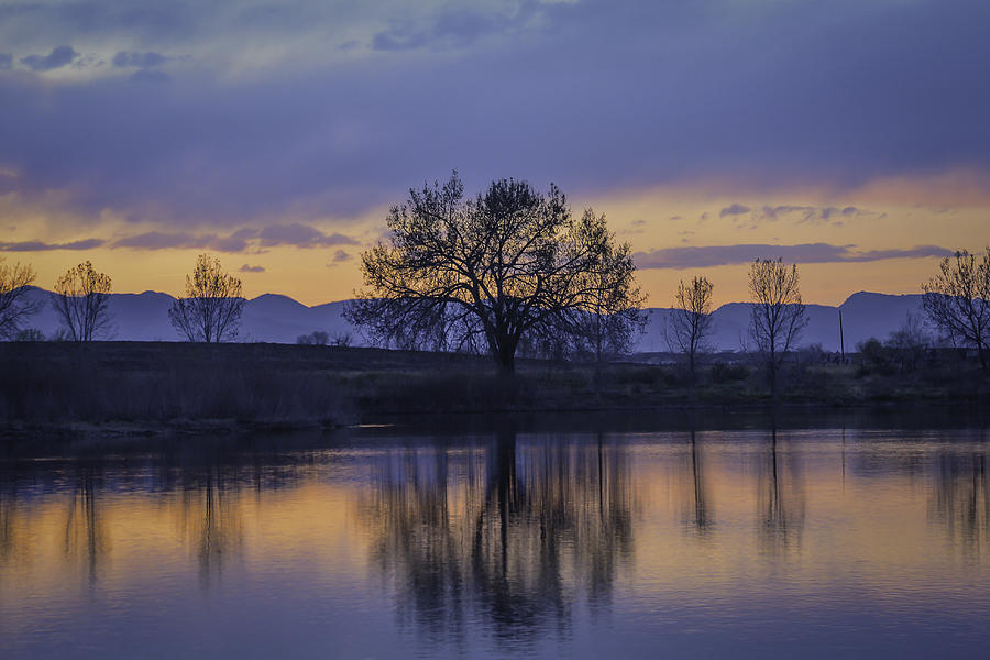 Reflecting Tree Photograph by Trish Kusal - Fine Art America