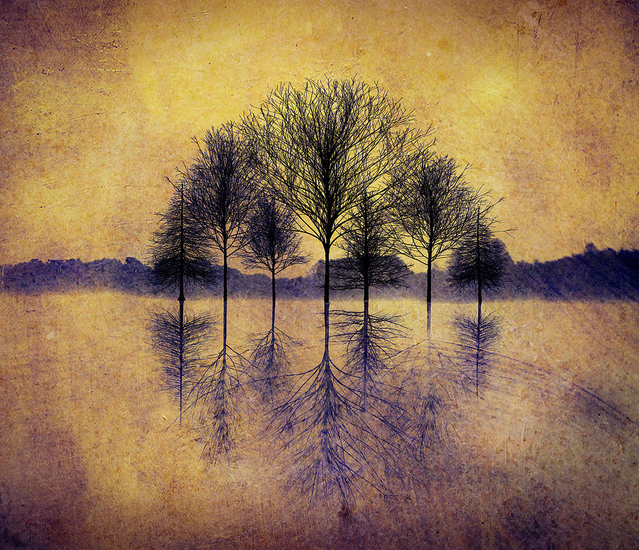 Reflecting Trees by Paul Bartell Reflecting Trees by Paul Bartell