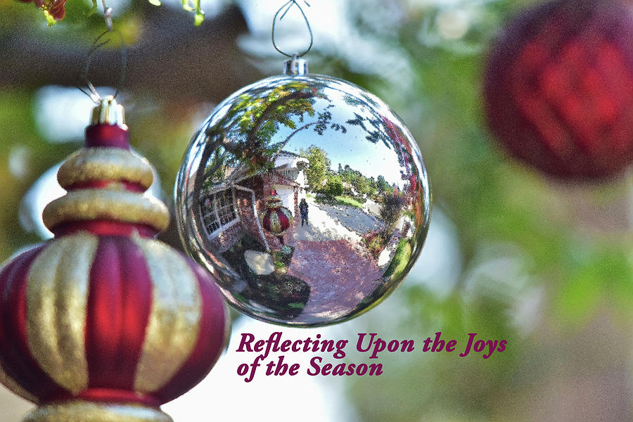 Reflecting Upon the Joys of the Season Photograph by Linda Brody