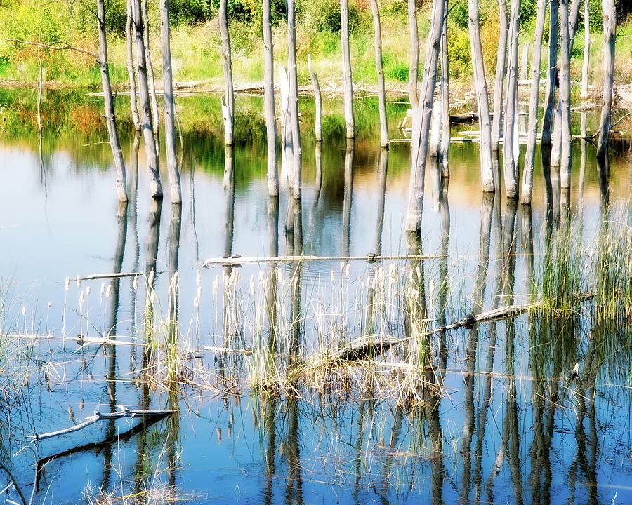 Reflecting Wetlands Hi-key Photograph by Allan Van Gasbeck