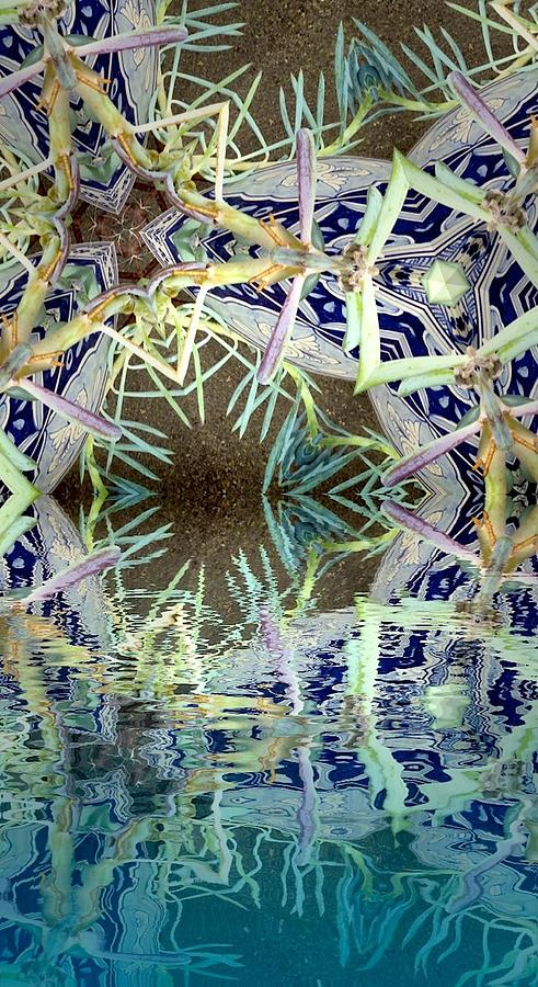 Nature Photograph - Reflection 1 by Sylvan Adams Nature Photograph - Reflection 1 by Sylvan Adams