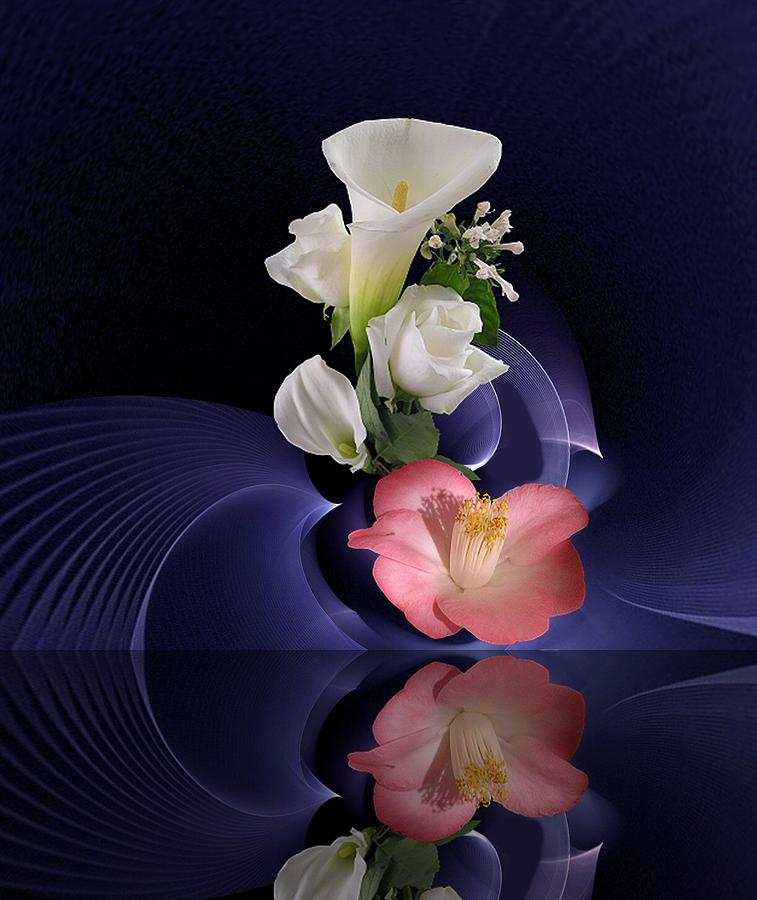 Flower Mixed Media - Reflection 30 by Diane McCool-Babineau