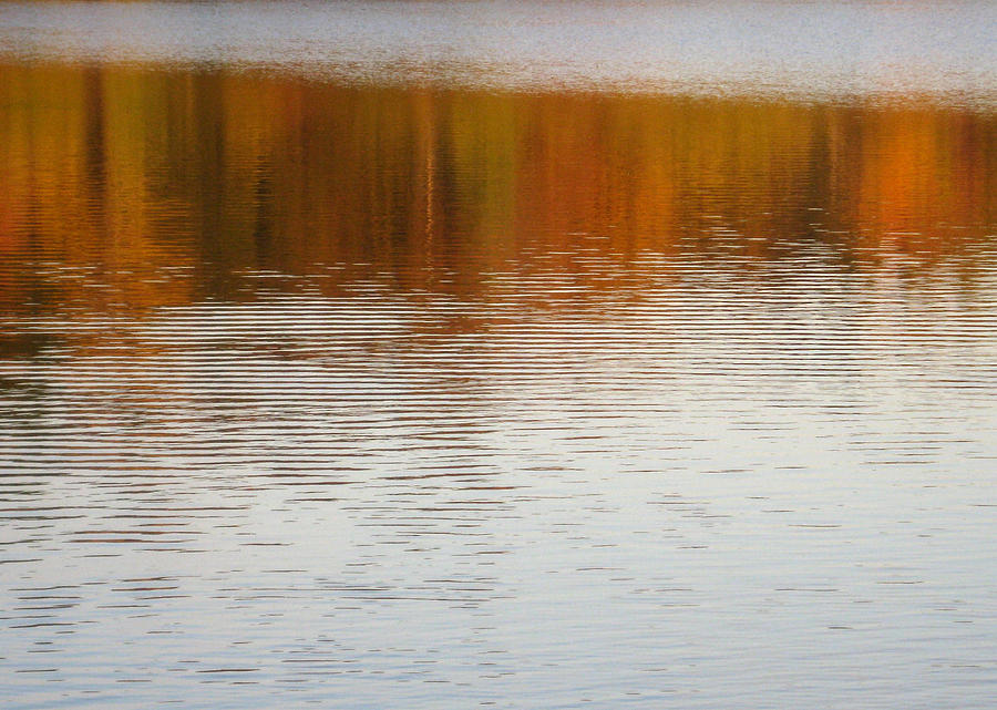 Tree Photograph - Fall reflections 6 on Jamaica Pond by Giora Hadar