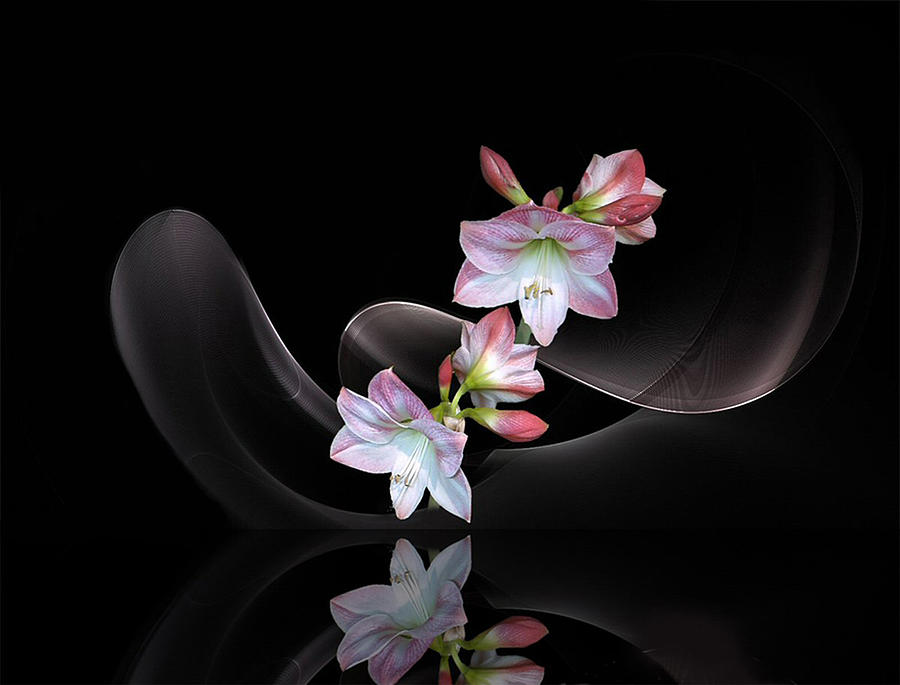 Flower Mixed Media - Reflection 8 by Diane McCool-Babineau