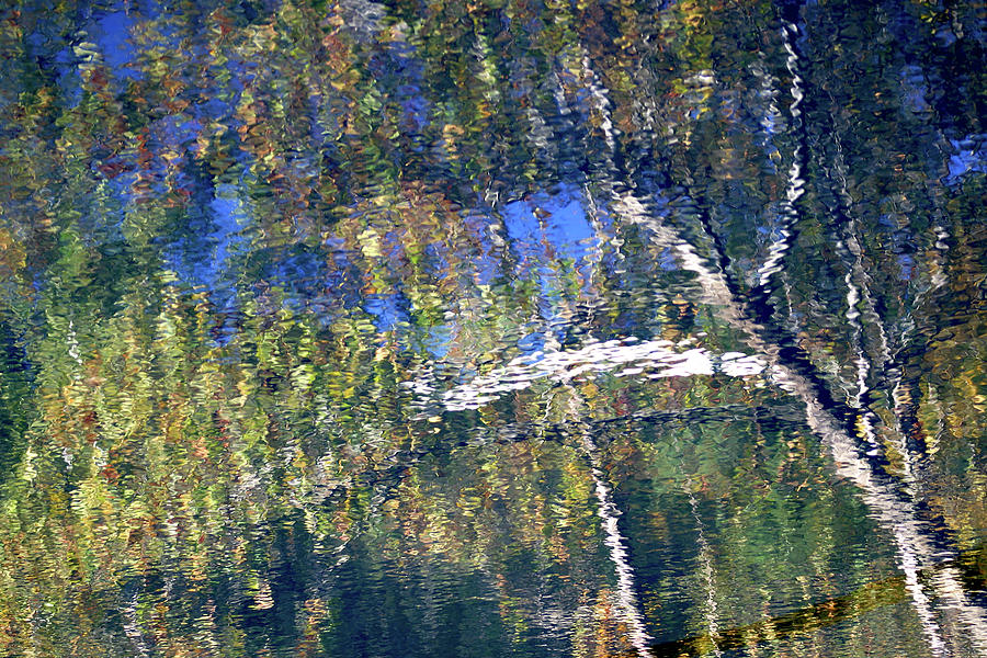 Reflection 8173 H_2 Photograph by Steven Ward