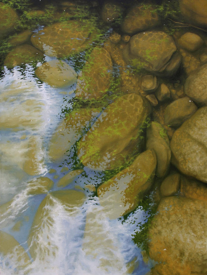 Nature Painting - Reflection and Transparency by Jason Sawtelle