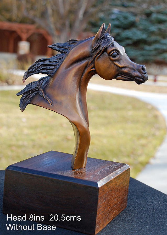 arabian horse head sculpture