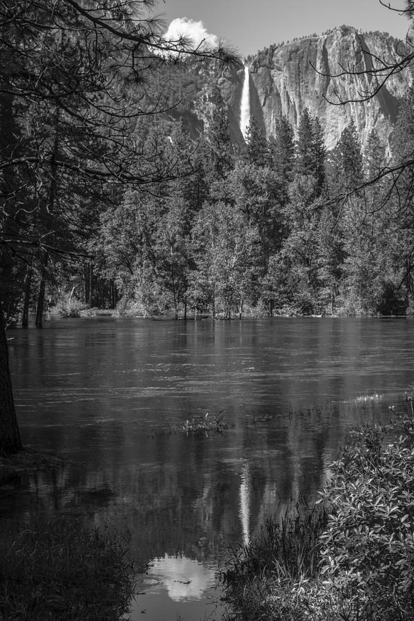 Reflection at Yosemite Black and White  Photograph by John McGraw